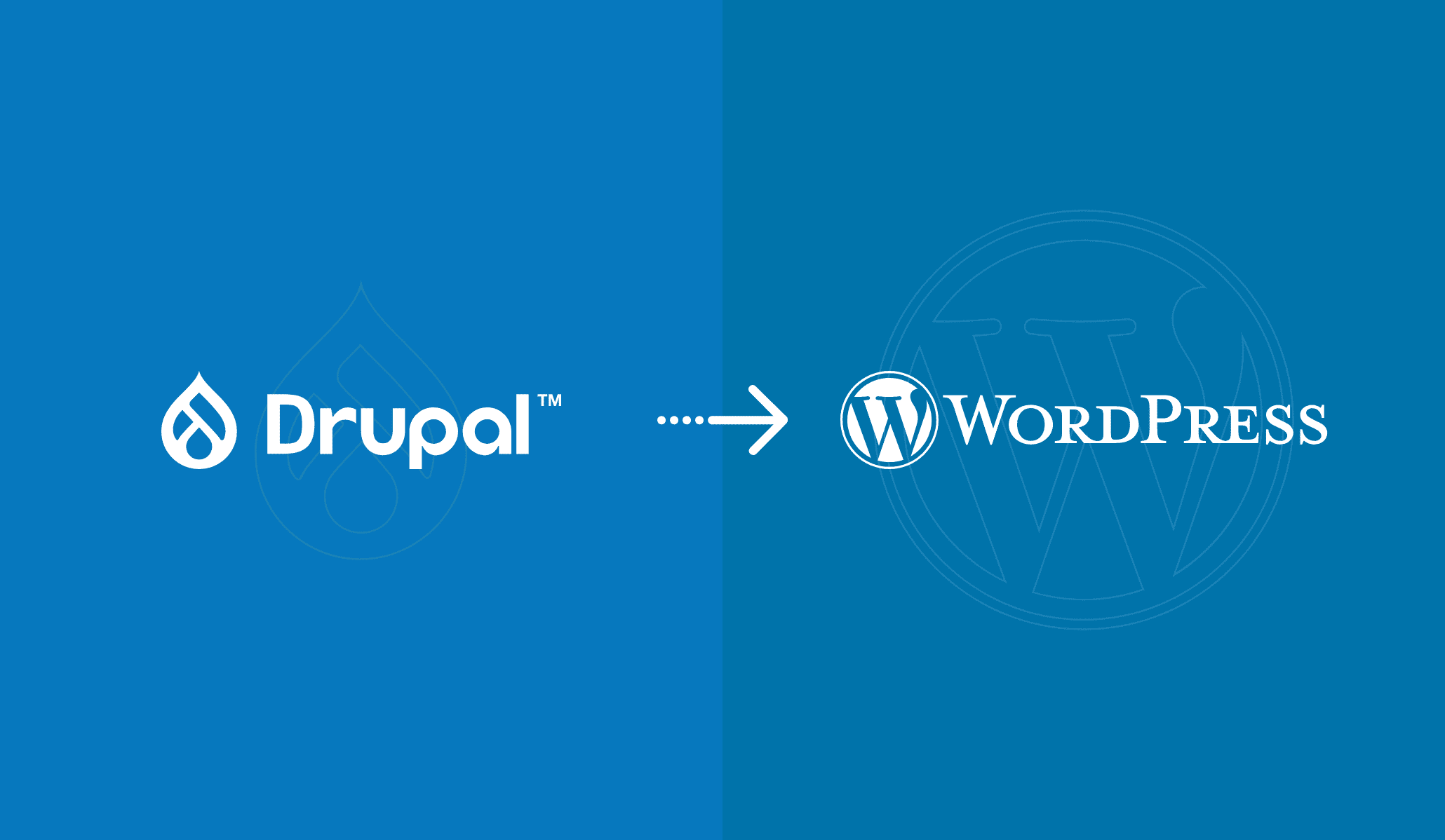 The Comprehensive Guide to Migrating from Drupal to WordPress Img